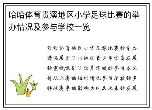 哈哈体育贵溪地区小学足球比赛的举办情况及参与学校一览