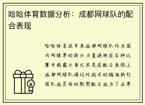 哈哈体育数据分析：成都网球队的配合表现