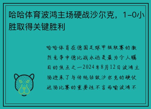 哈哈体育波鸿主场硬战沙尔克，1-0小胜取得关键胜利
