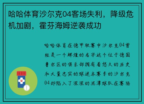 哈哈体育沙尔克04客场失利，降级危机加剧，霍芬海姆逆袭成功