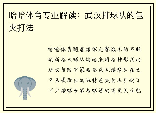 哈哈体育专业解读：武汉排球队的包夹打法